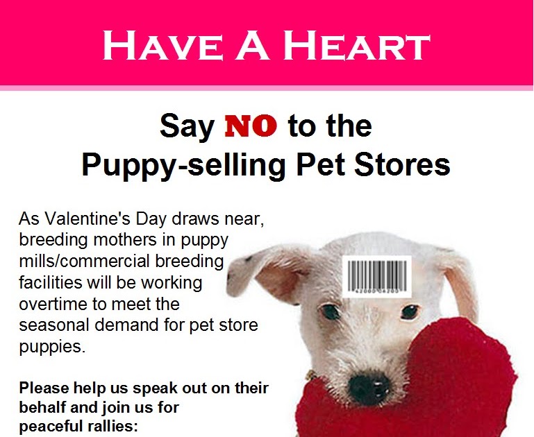 no pet store puppies day