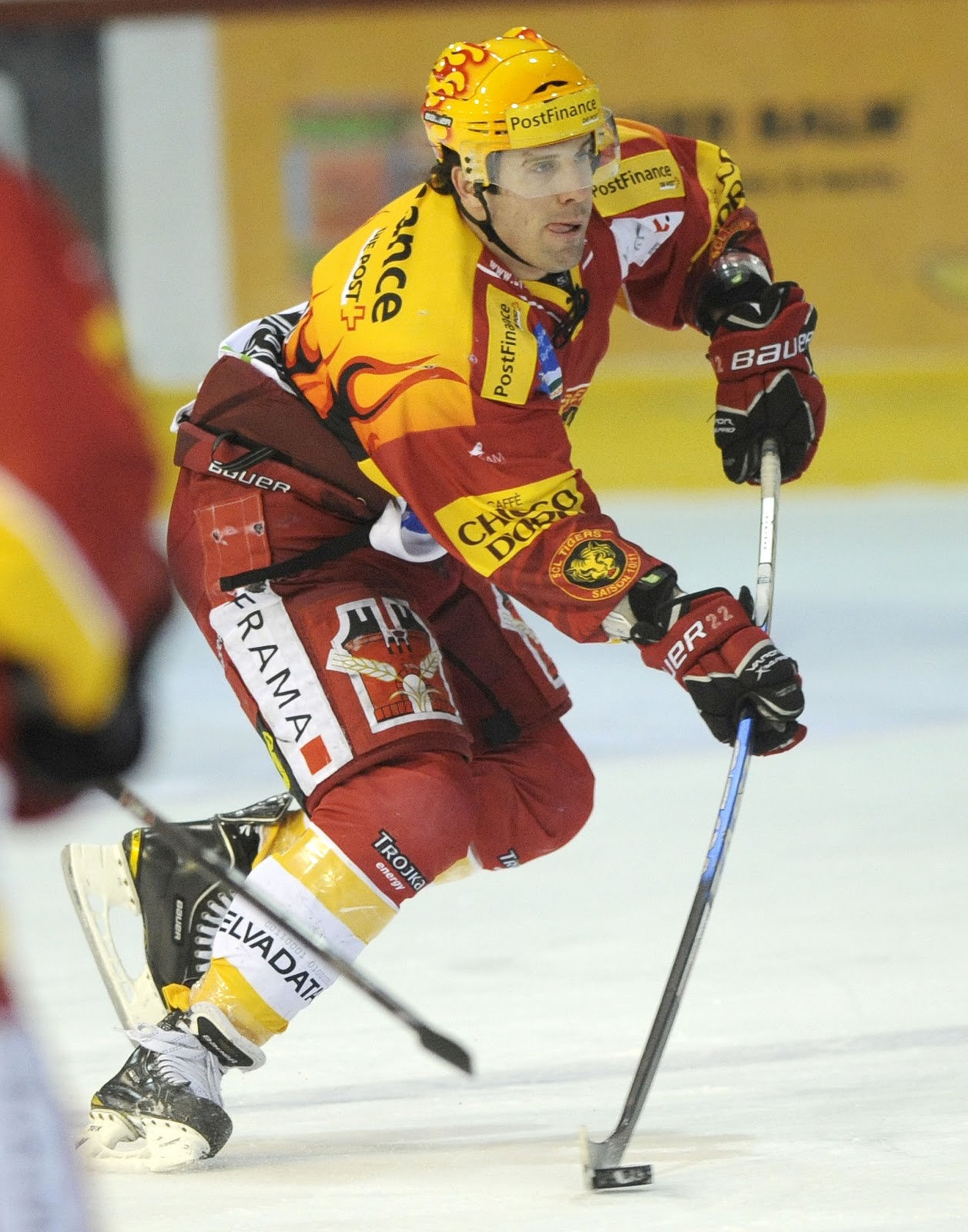 SCL Tigers - world of desire