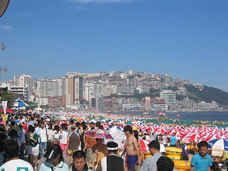 [image008.JPG]