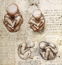 Views of a Fetus in the Womb c. 1510-12