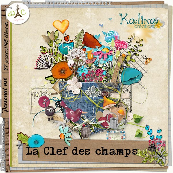 kit la clef des champs de kalina-preview