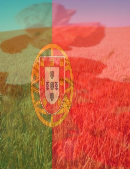 [PORTUGAL+SEARA.jpg]