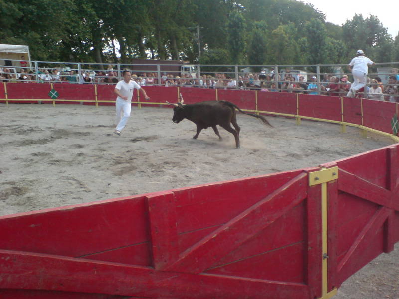 [image-upload-114-734073.jpg]