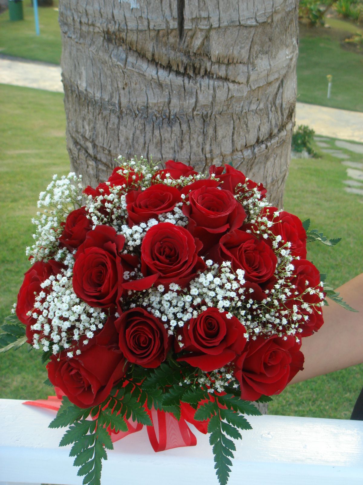 Red Roses and Small White Flowers Bouquet