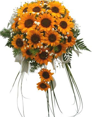 Dark sunflowers with a few baby 39s breath wedding bouquet