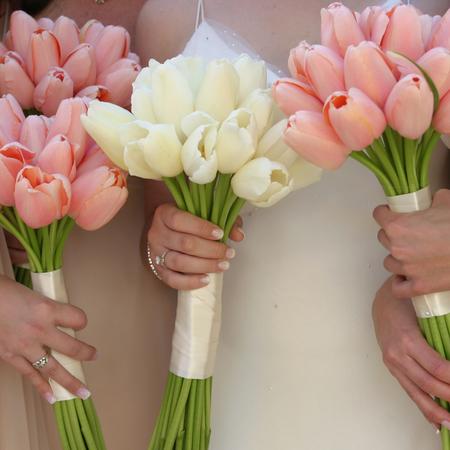 wedding tulips