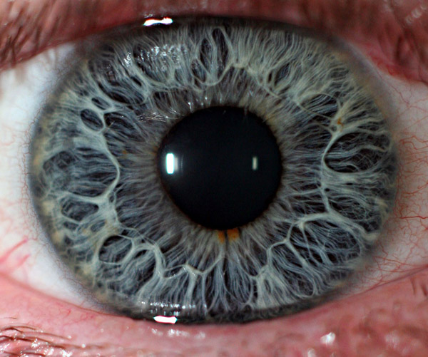 macro medical term macro medical term