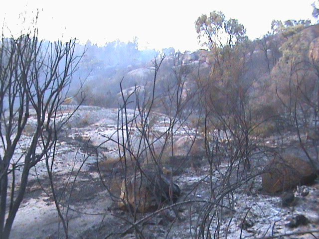 [INCÊNDIO+008.jpg]
