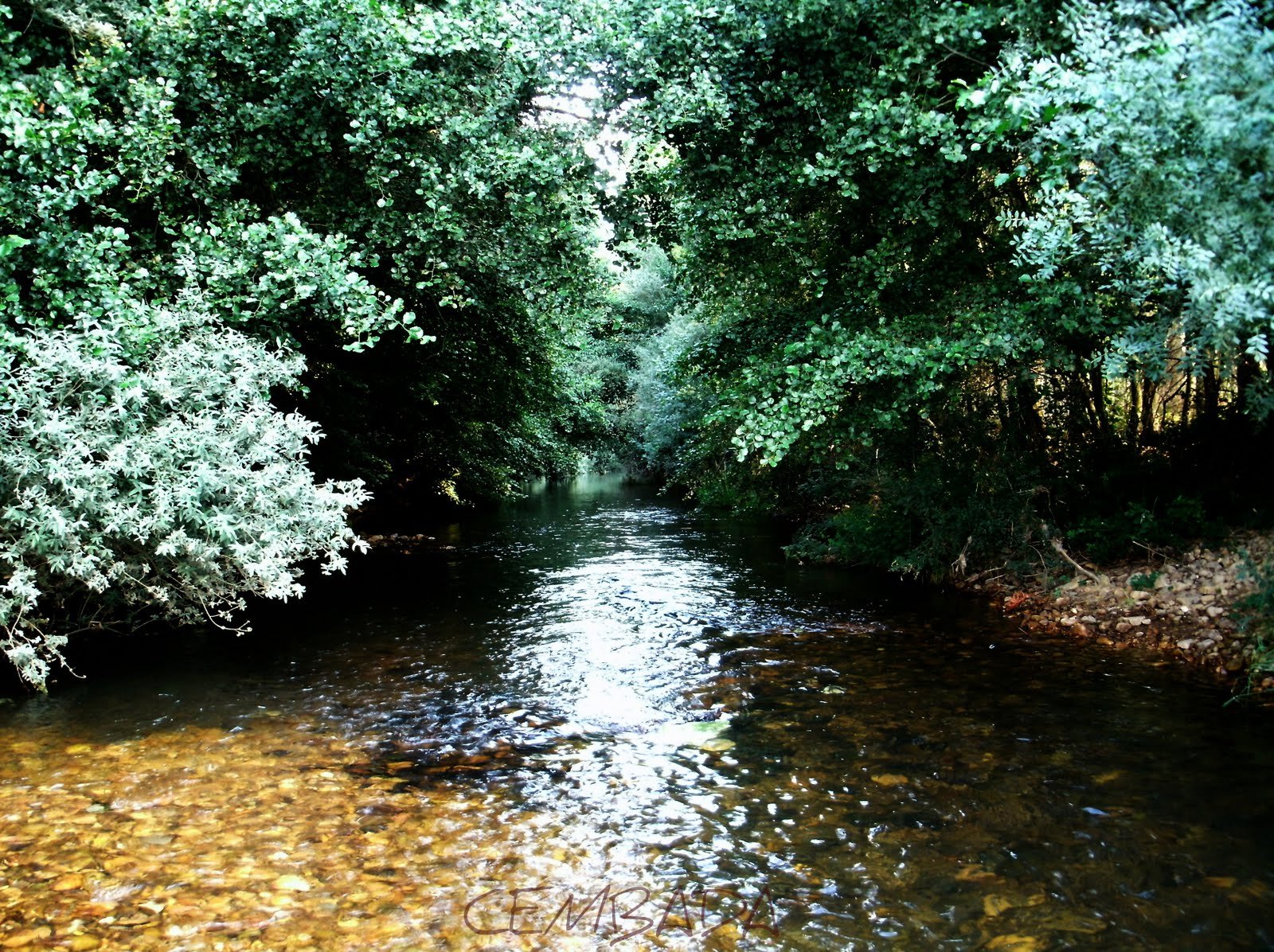 CEMBADA: 09-ago-2010