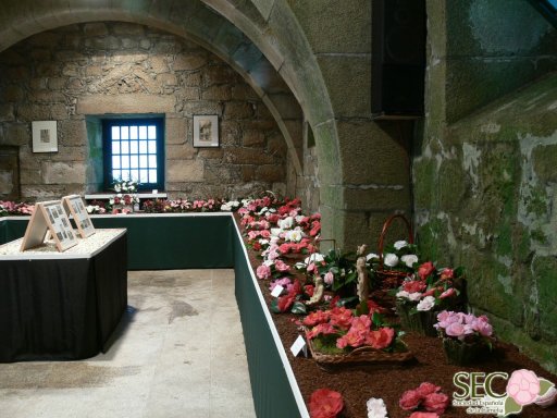 [Fotografía+Exposcion+Lerez+SEC+2010.jpg]