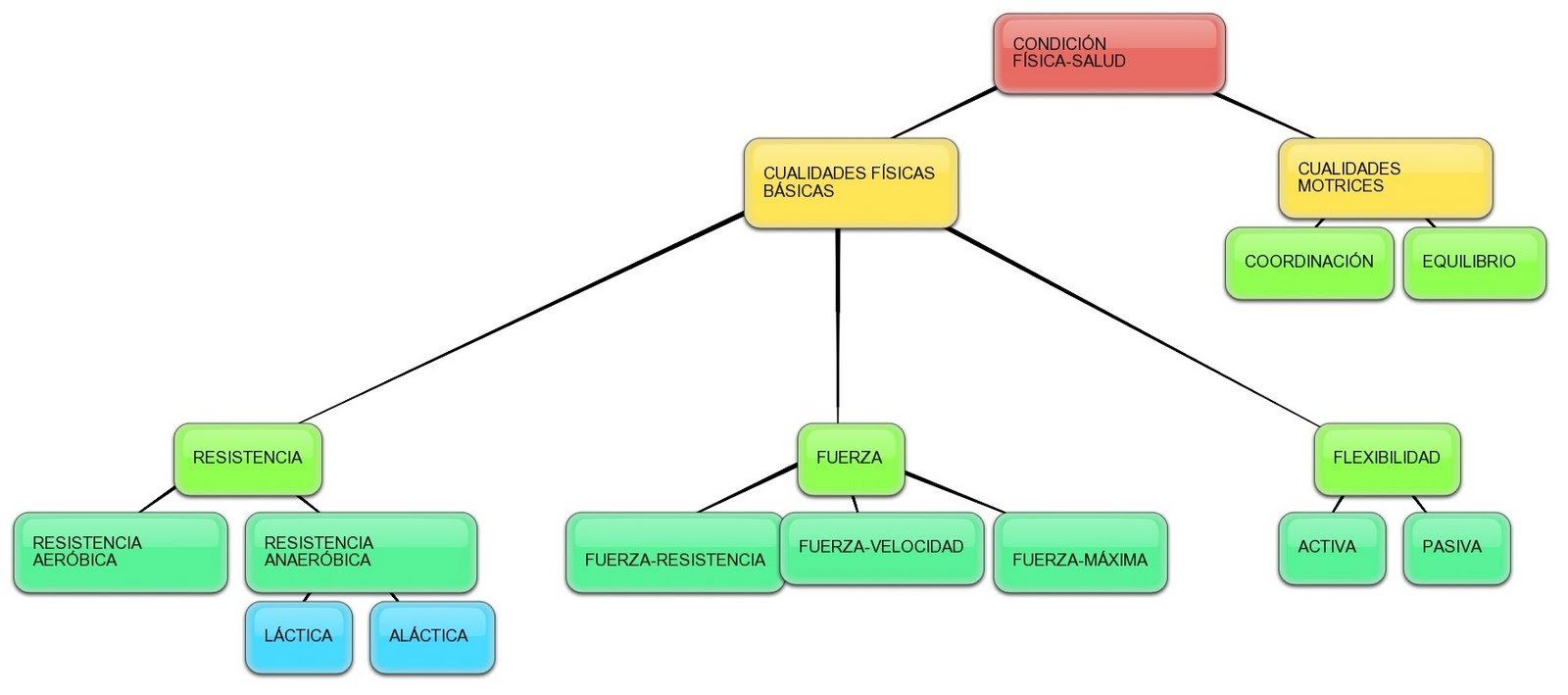 ESQUEMA SALUD esquema salud: