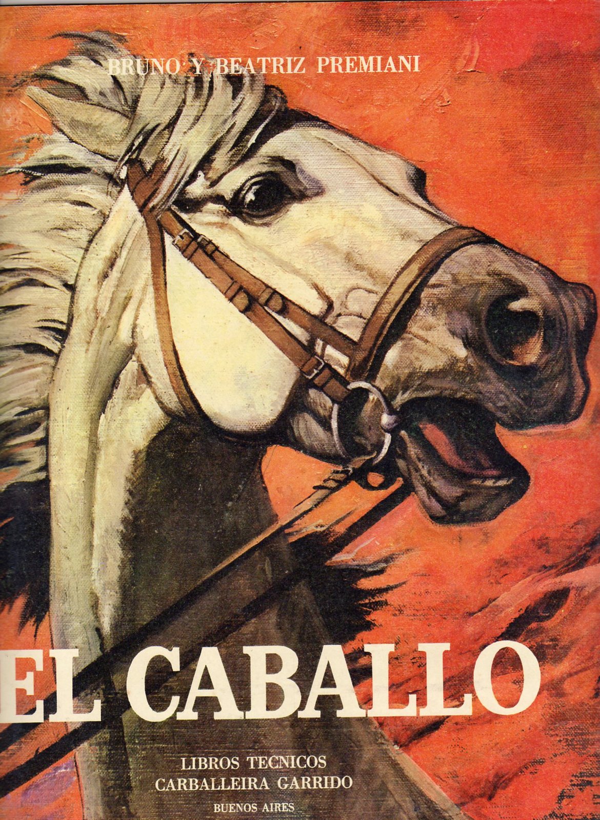 [caballo001.jpg]