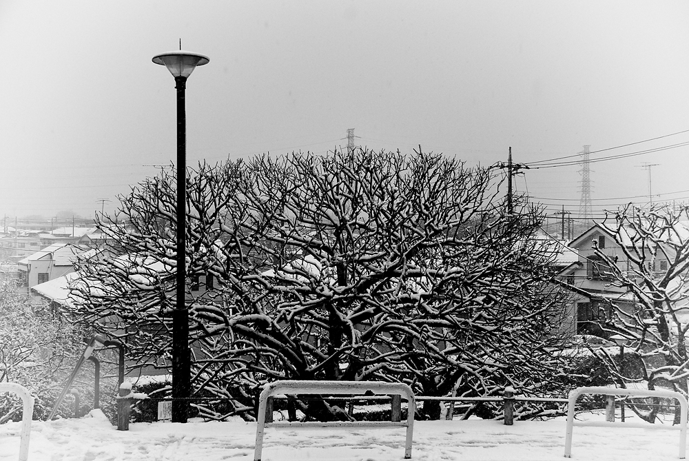 Haiku About Snow