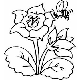 Wonderful Things Daily Flower And Bee Coloring Pages