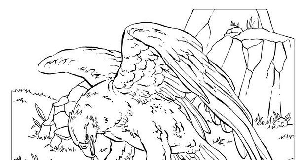 Coloring Pages: Eagle Coloring Pages