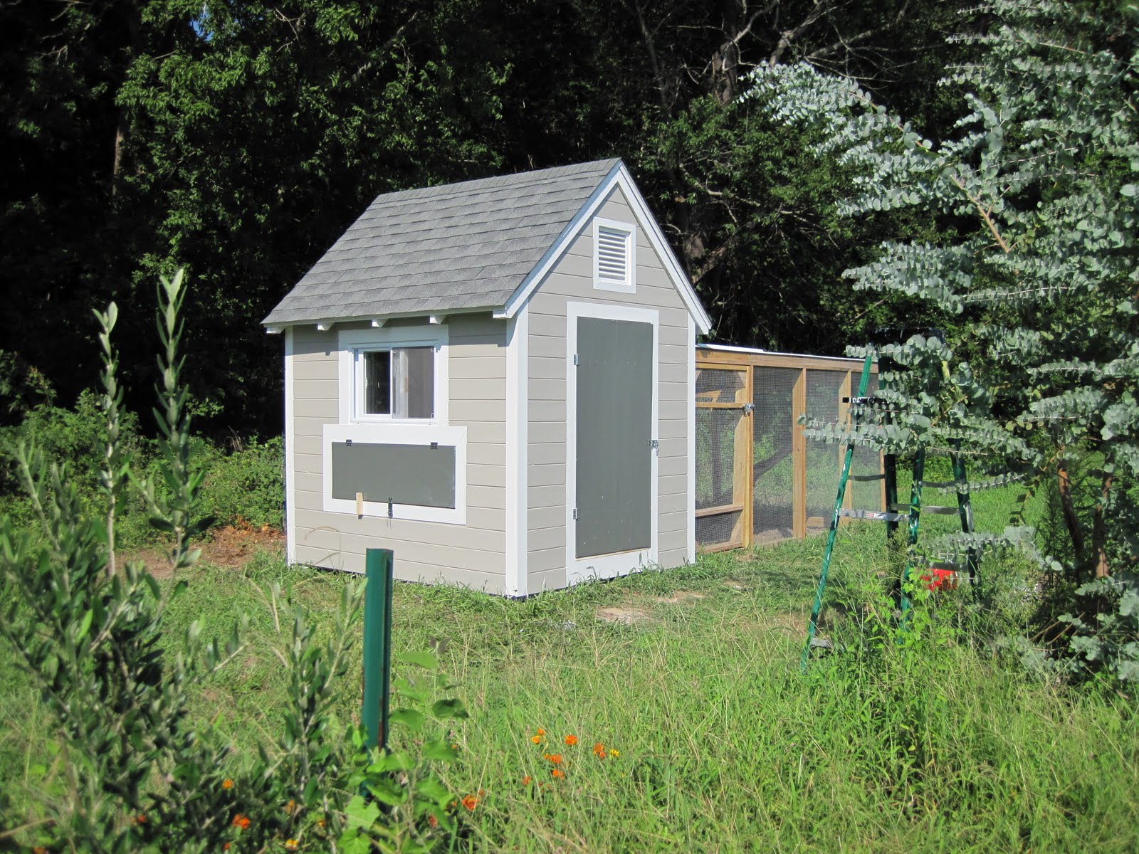 The Brown Book Chesapeake Bay Chicken Coop