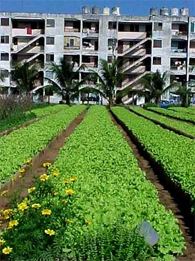 http://3.bp.blogspot.com/_U90dGHtsZ5Q/S-GU1kLZg_I/AAAAAAAAC-Y/Uu73eBdy8nU/s1600/Cuba1.jpg