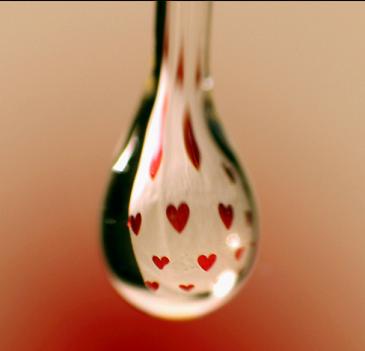[gota-de-amor.jpg]
