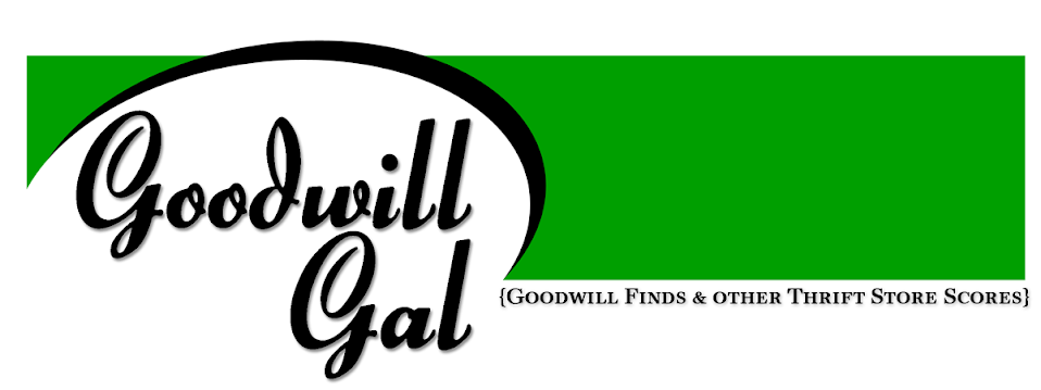 Goodwill Gal