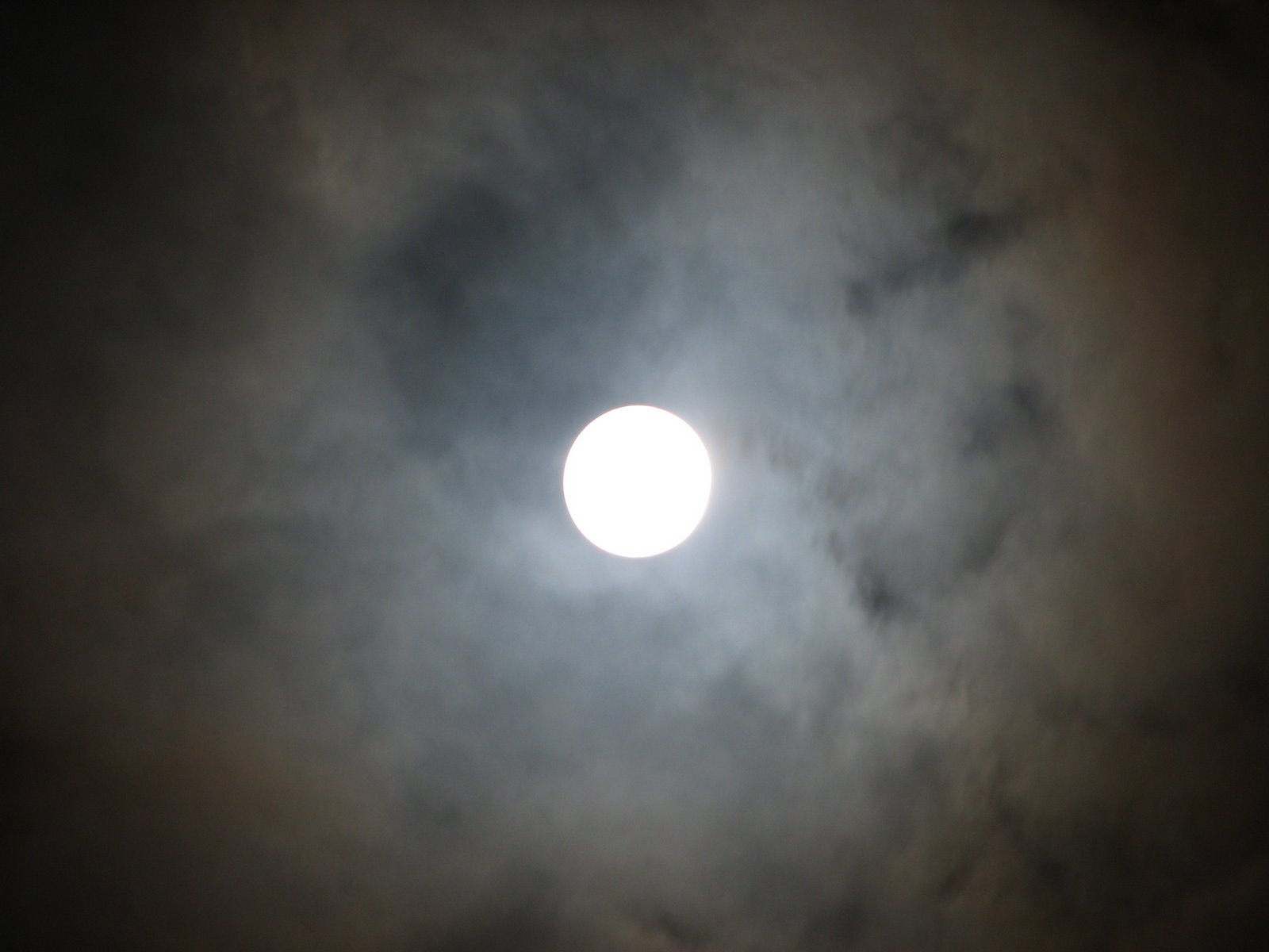 [IMG_3871[1]]