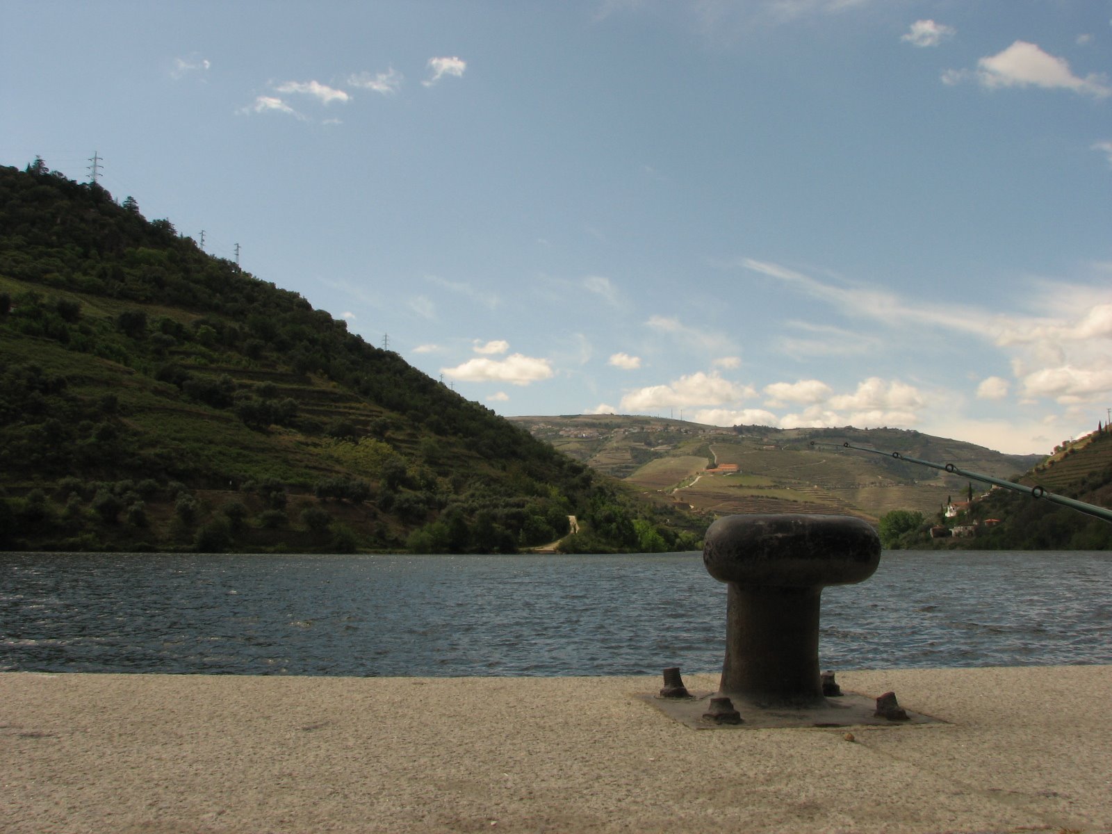 [IMG_6558[1]]