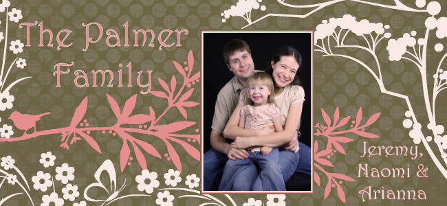 The Palmer Family