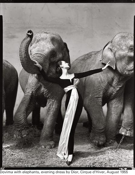 [richard+avedon+12.JPG]
