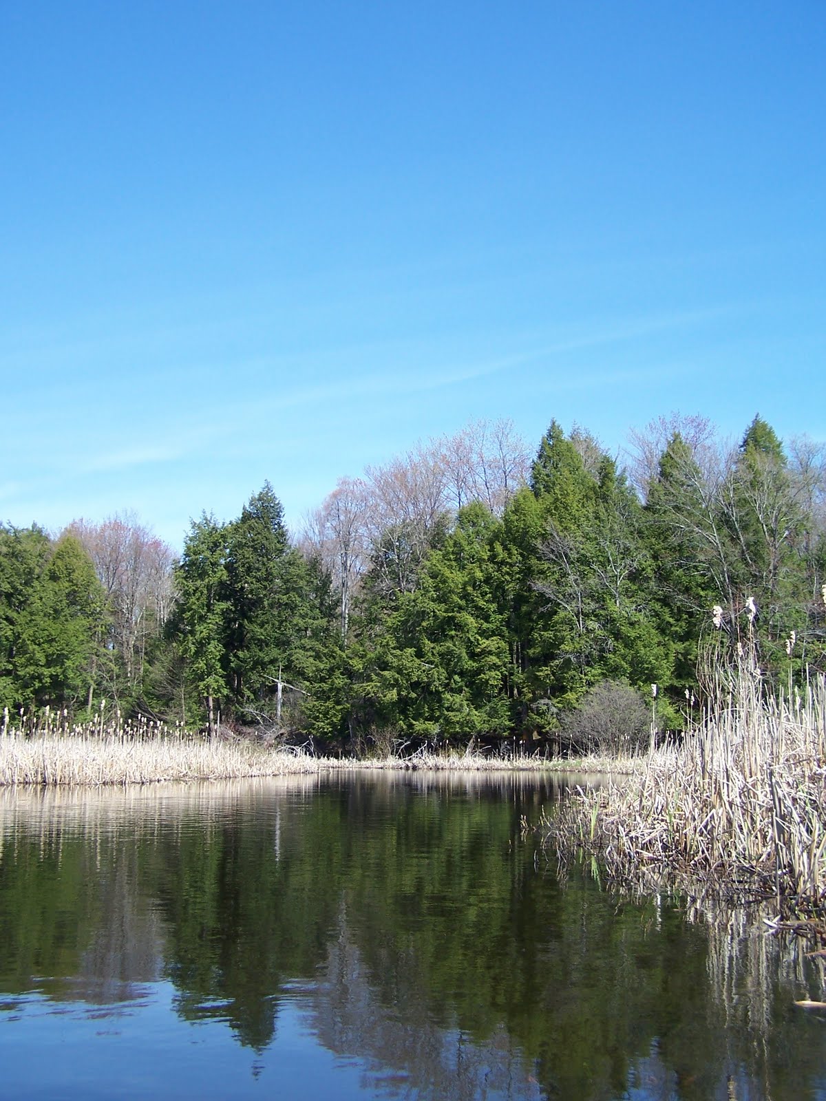 Quiet Kayaking in New York State West Branch of the Fish Creek