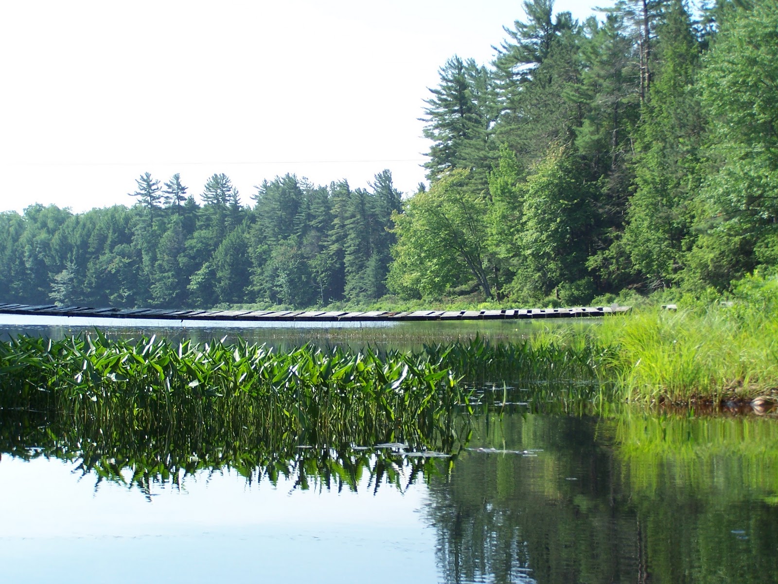 Quiet Kayaking in New York State Long Pond and Round Pond, part one