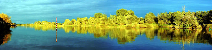 Paysage de la Saône
