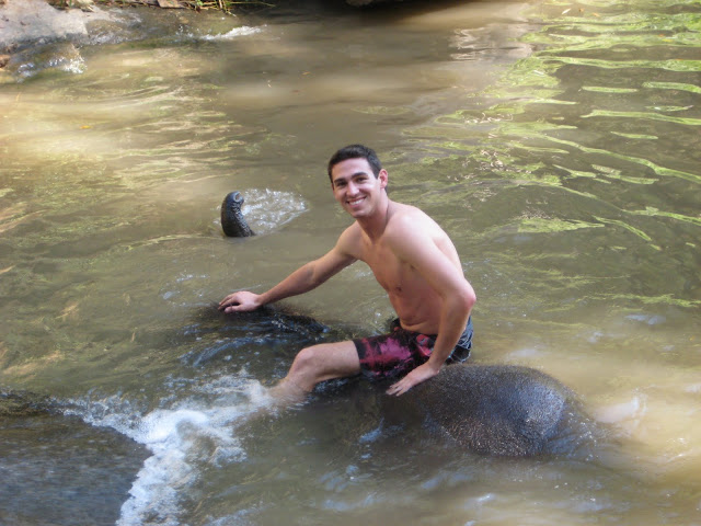 David swimming with his elephant