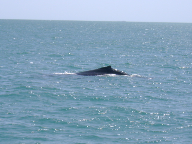 [DSC01774.JPG]