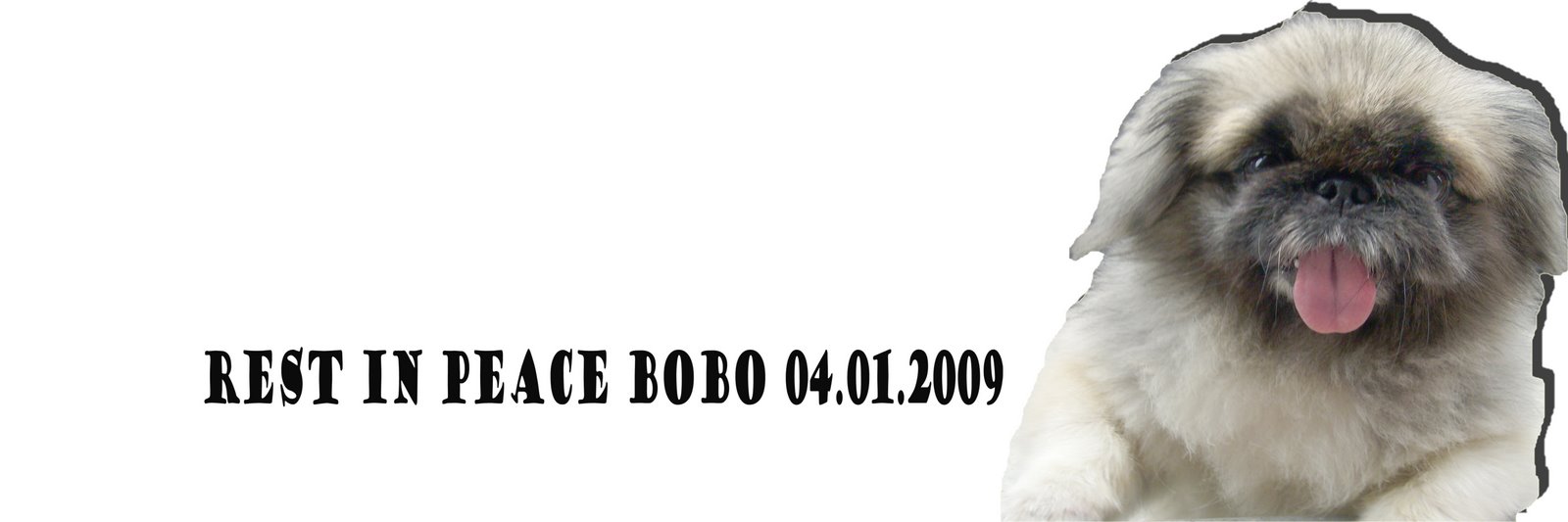 [header5.jpg]