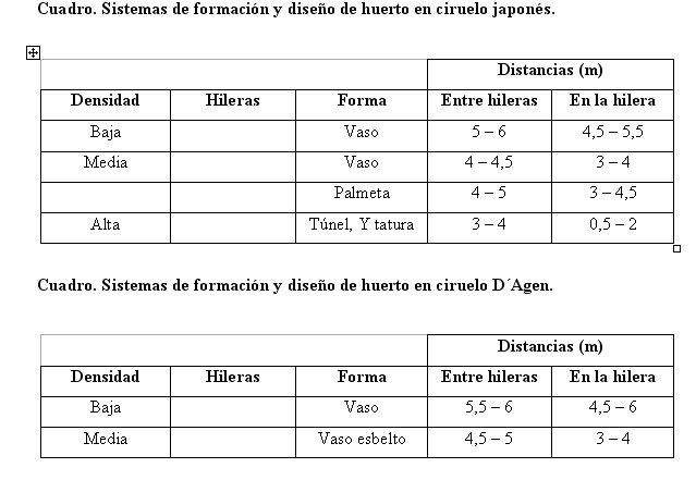 sistemas de formacion