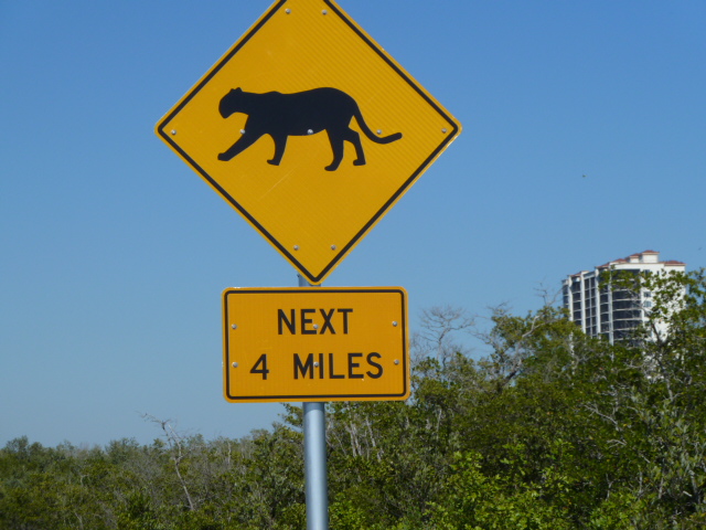 panther+crossing.JPG