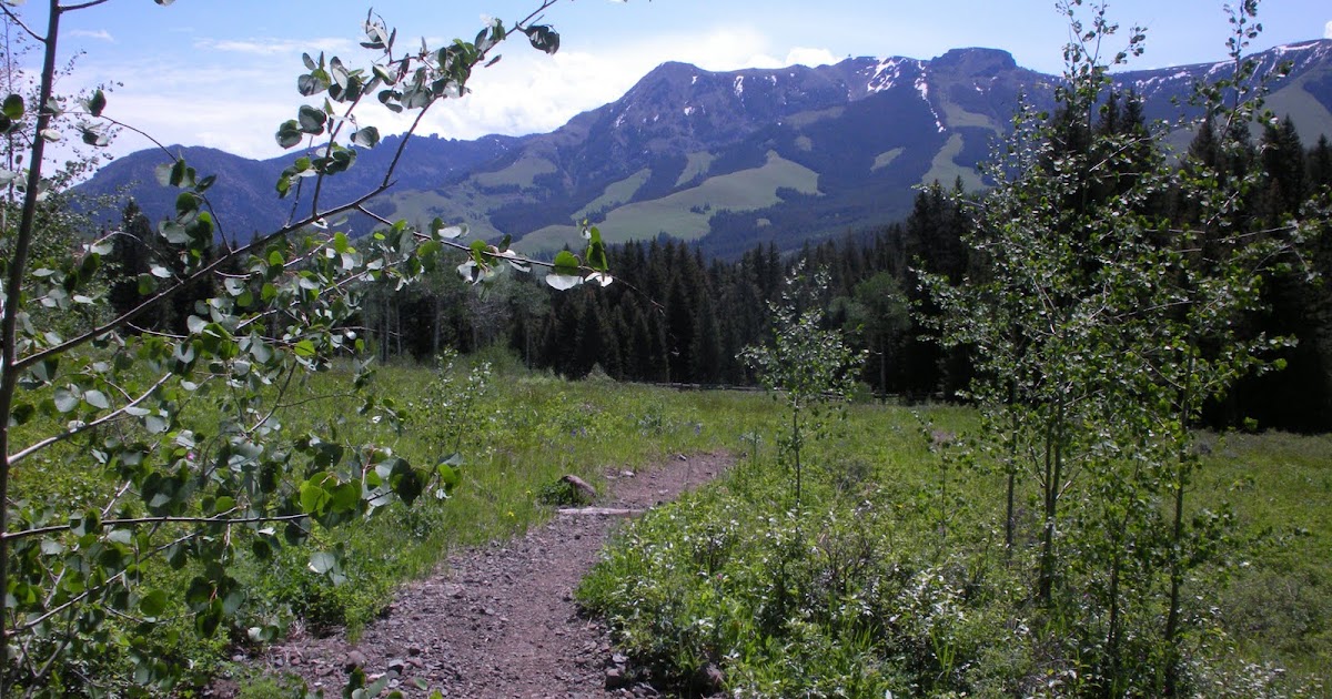 Living and Dyeing Under the Big Sky Tom Miner Trailhead
