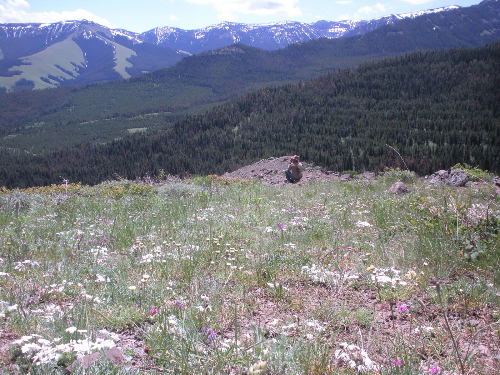 Living and Dyeing Under the Big Sky Tom Miner Basin Views