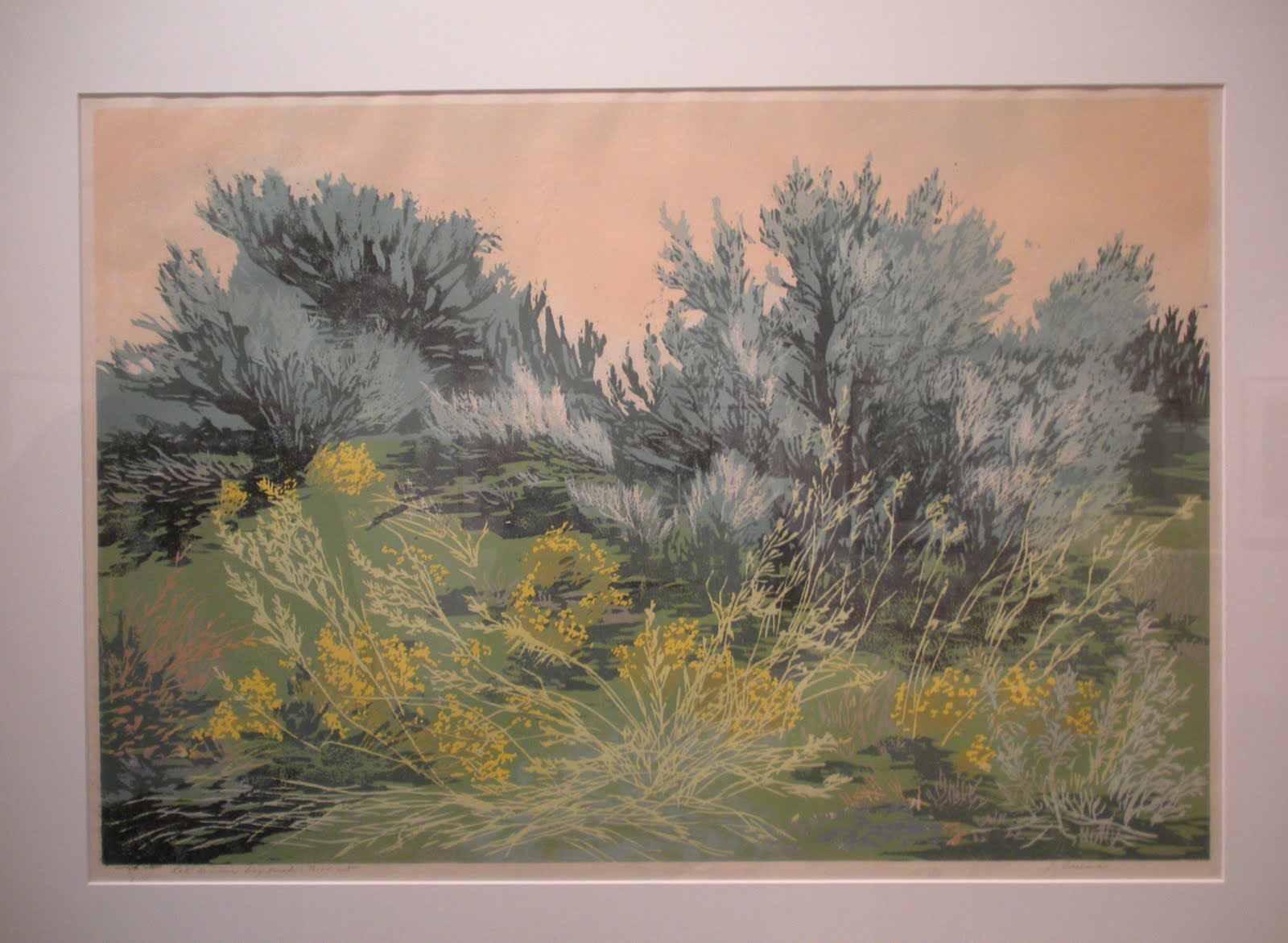 Living and Dyeing Under the Big Sky Edith Freeman at Yellowstone Art