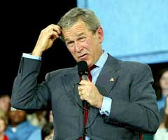 [bushdumb.jpg]