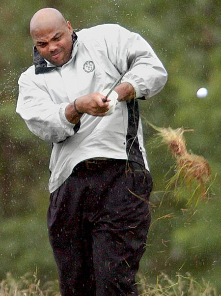 [golf_swing.jpg]