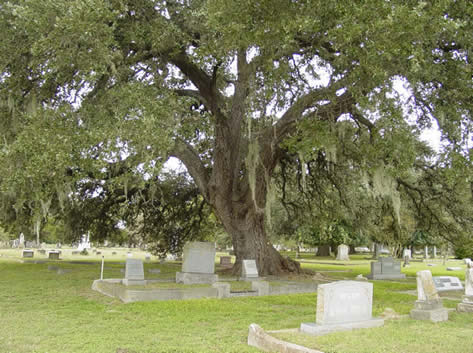 [Cemetery.jpg]