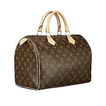 [womens-purse.jpg]
