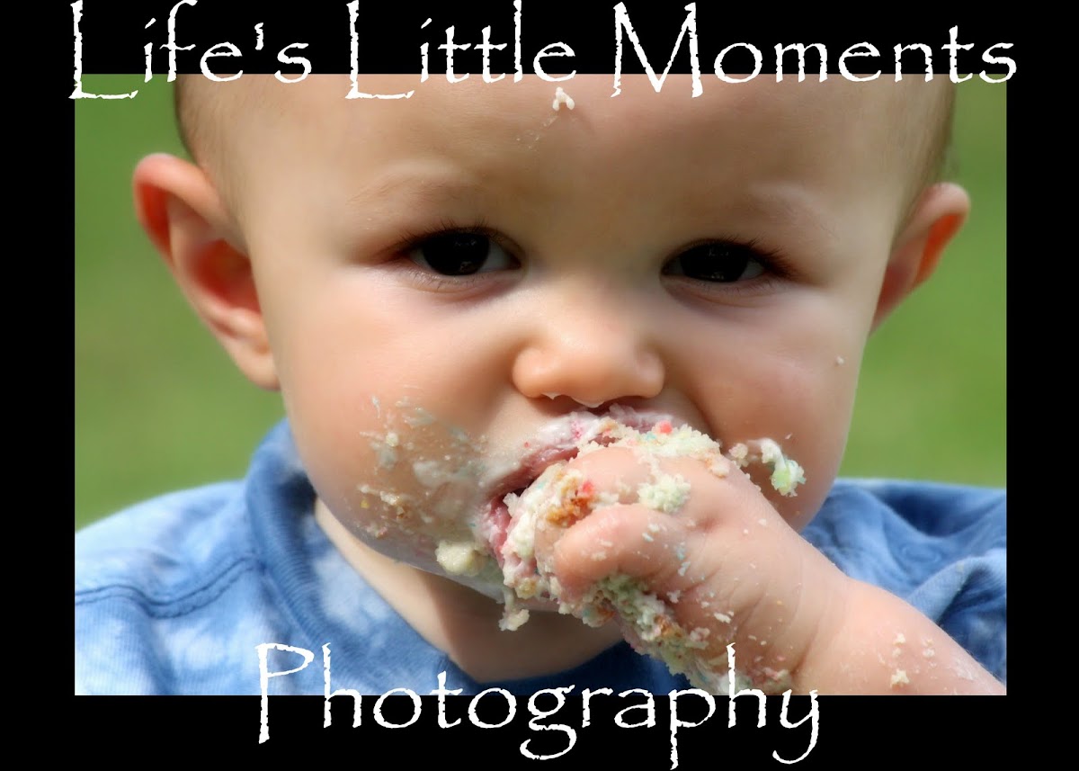 Life's Little Moments Photography