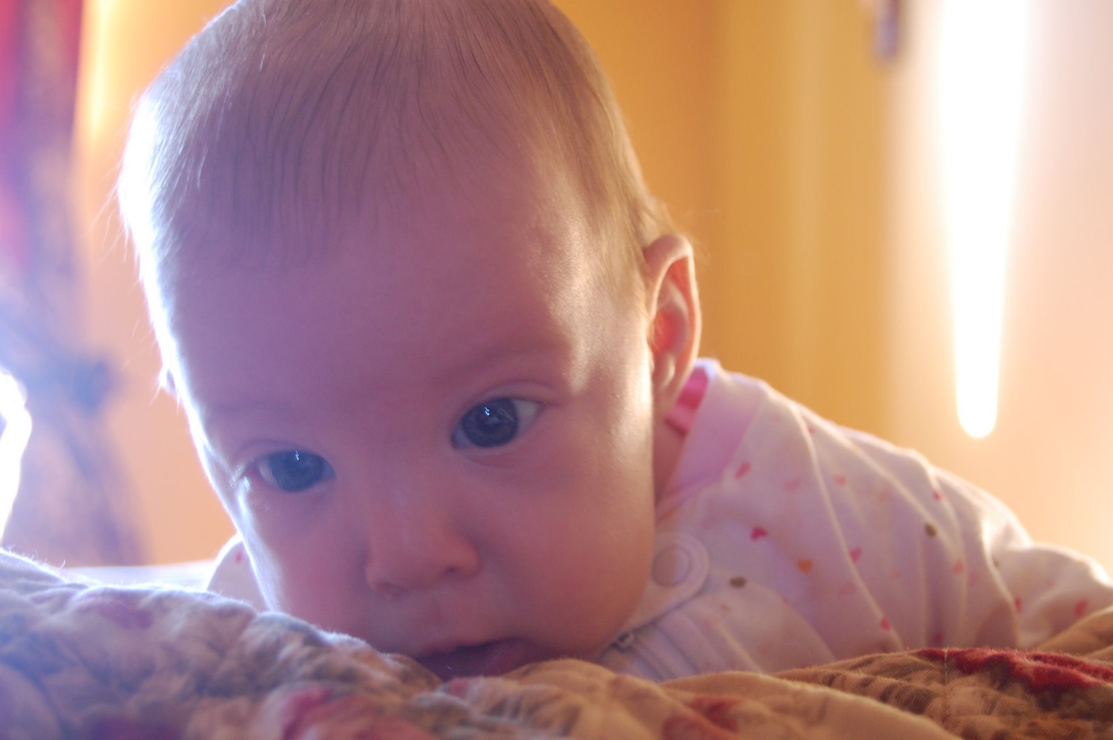 [DSC_0771.JPG]
