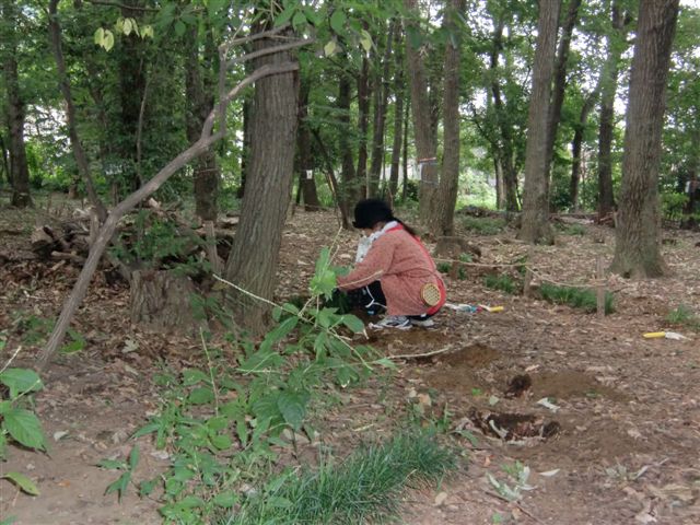 [CIMG0196.JPG]