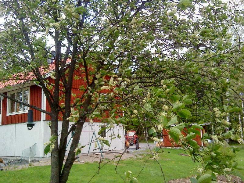 [image-upload-3-759729.jpg]