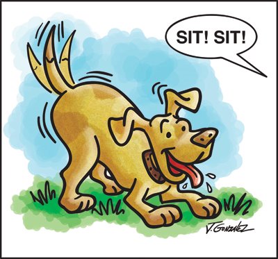 [dog.jpg]