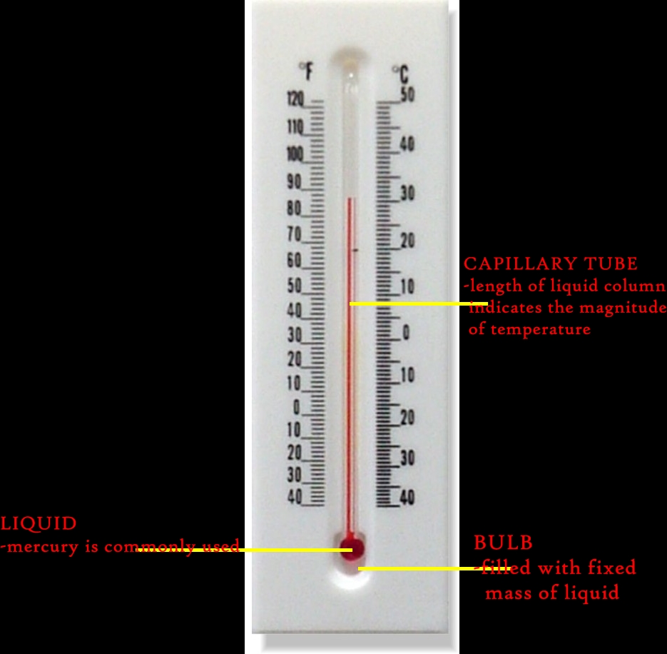 MashPhy Liquid inglass Thermometer
