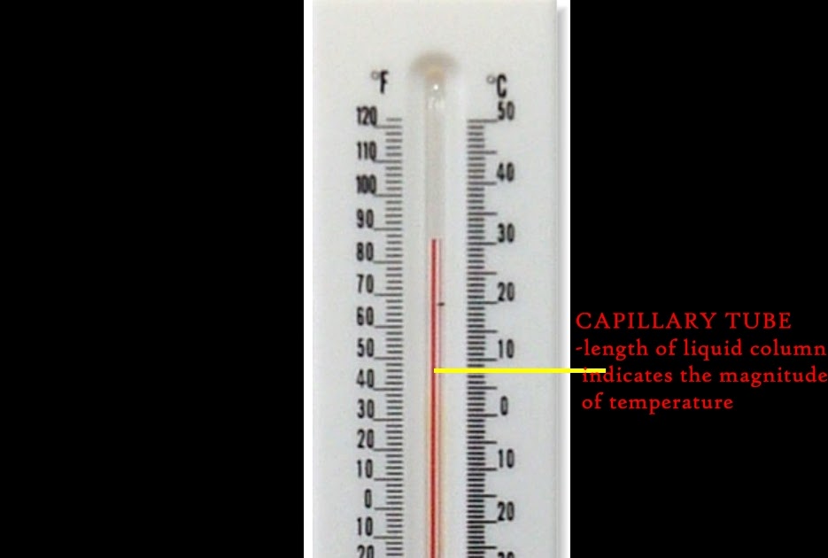 MashPhy Liquid inglass Thermometer