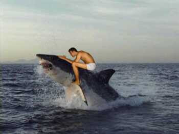 barco ser Tubarao
